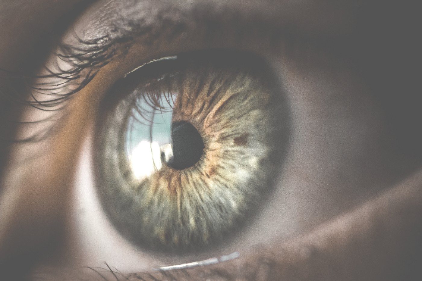 Nahaufnahme eines Auges mit heller Iris
